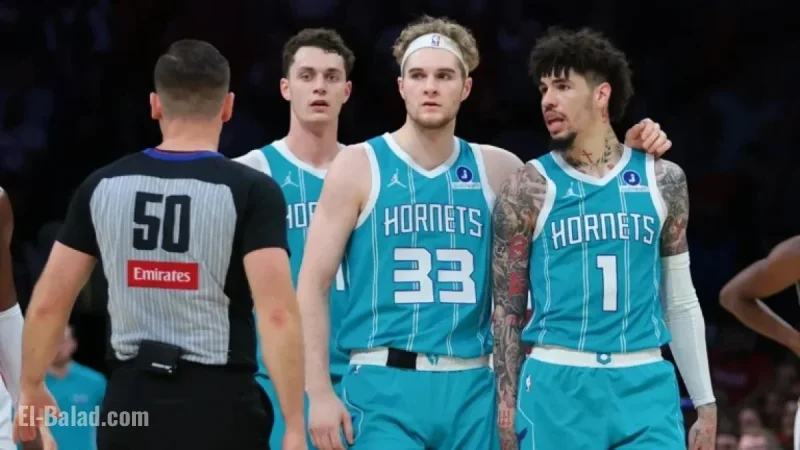 Charlotte Hornets vs. Minnesota Timberwolves: Expert Score Predictions
