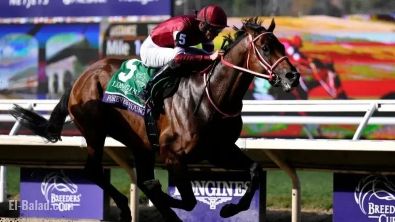 Forever Young Triumphs in $7M Breeders’ Cup Classic in Japan