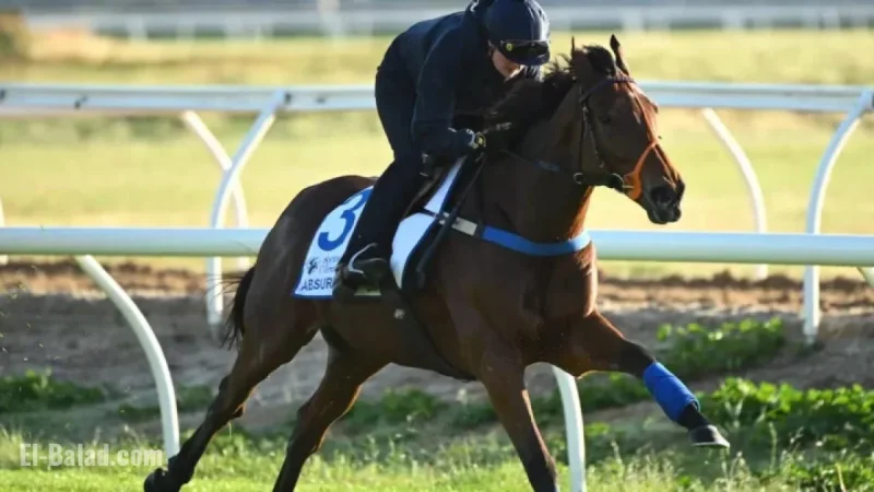 Irish Hopes May Falter as Melbourne Cup Pre-Race Vet Checks Intensify