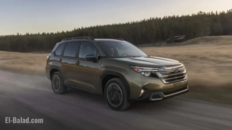 Subaru Forester: Most Affordable Insurance, Tesla Model 3: Priciest, Says Consumer Reports