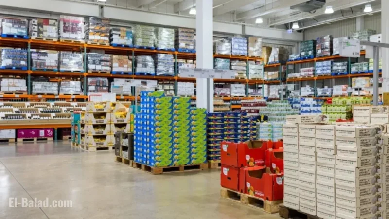 Top New Arrivals at Costco for November 2025