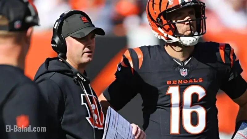 Bengals vs Bears: Key Winners and Losers from Pivotal Defeat