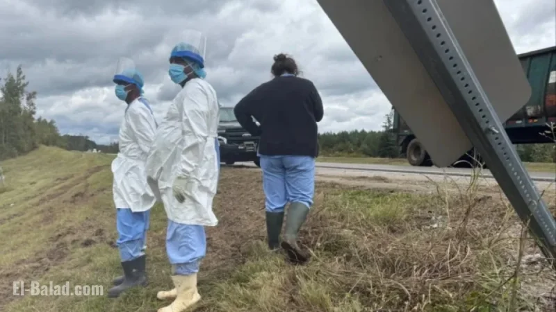 Mississippi Woman Fatally Shoots Escaped Monkey to Protect Her Children