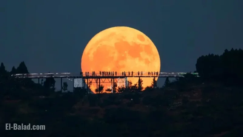 November’s Golden Supermoon Shines as Year’s Largest and Brightest