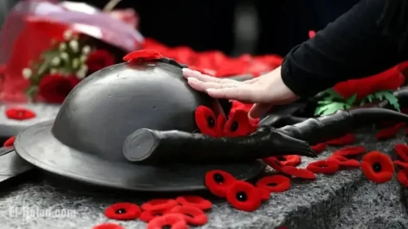 Ontario Woman Honored as National Silver Cross Mother