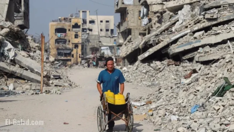 Turkey Urges Immediate Action on Gaza, Source Reveals