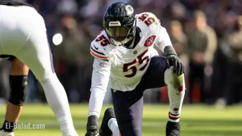 Bears’ Dayo Odeyingbo Sidelined for Season by Achilles Tear