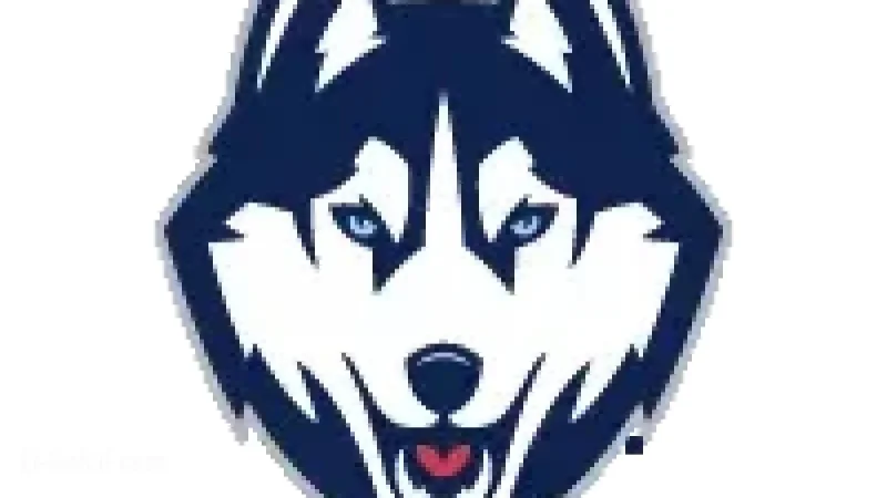 Huskies Launch 2025-26 Season Monday at Gampel Pavilion