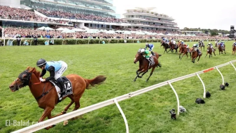 Melbourne Cup: Experts Surprised as Winner Backs Defy Predictions