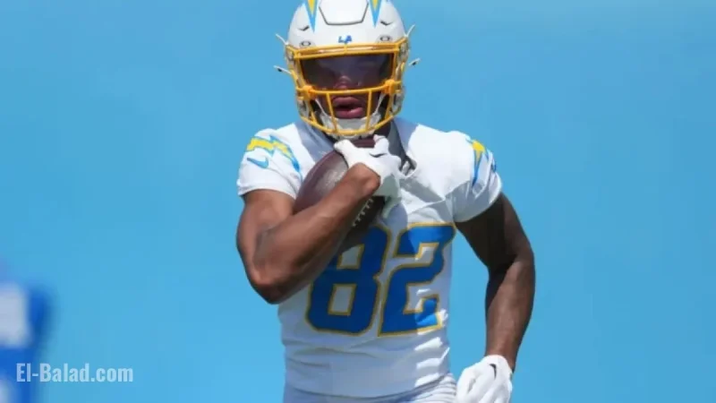 Patriots Sign Wide Receiver Brenden Rice