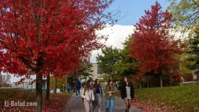 Report: University Area Rents Decline Rapidly as Foreign Student Caps Take Effect