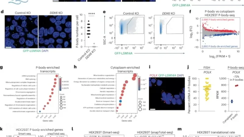 RNA Sequestration in Biomolecular Condensates Guides Cell Fate Changes