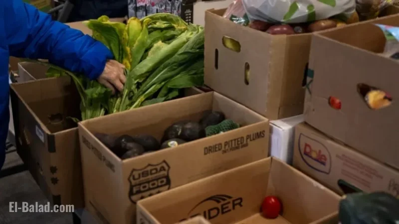 SNAP Benefit Arrival Dates Vary: How Communities Are Offering Support
