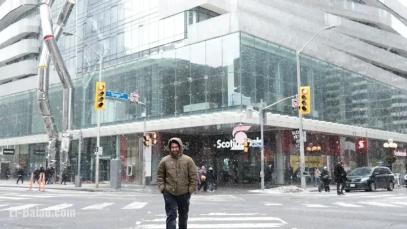 Toronto Braces for First Snowfall Soon: Weather Forecast Details