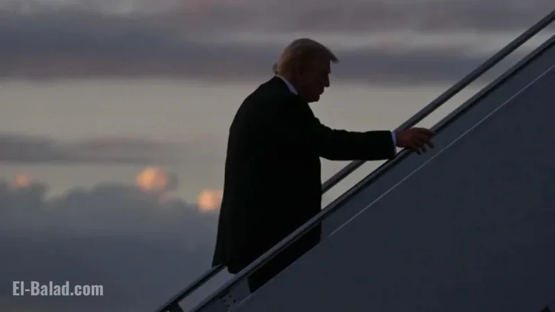 Trump’s Election, One Year On: America First Risks Democracy