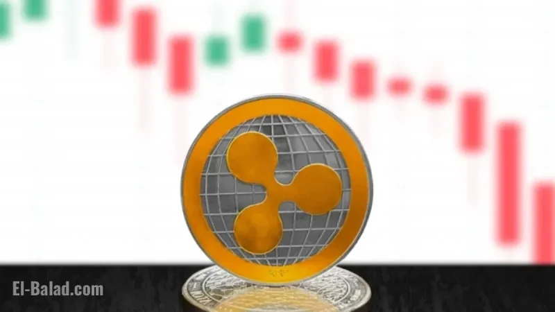 XRP and Bitcoin Prices Plummet, New Prediction Foresees 50% Drop