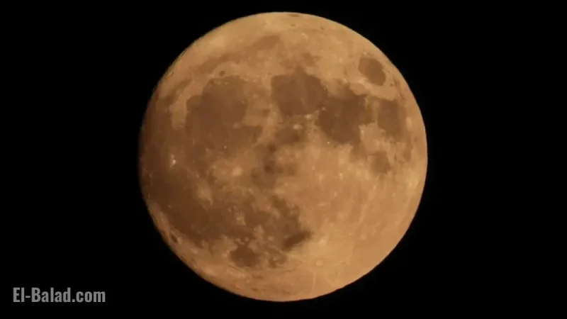 2025’s Closest Supermoon: Full Hunter’s Moon Shines Brightest