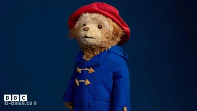 Discover the Magic of Paddington the Musical Stage Show