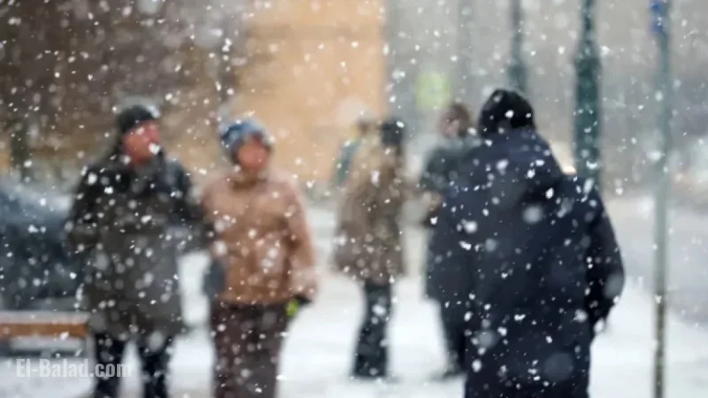 “France Prepares for 40 cm Snowfall: Affected Regions and Timing”