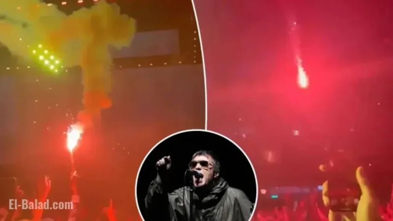 Liam Gallagher Blasts Fan for Firing Flare at Oasis Concert Crowd