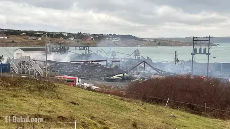 N.L.’s Southern Shore Prepares for More Storms After Devastating Night