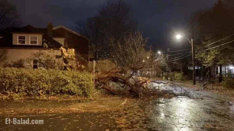 Powerful Fall Storm Hits Island with Hurricane-Force Winds Persisting Today