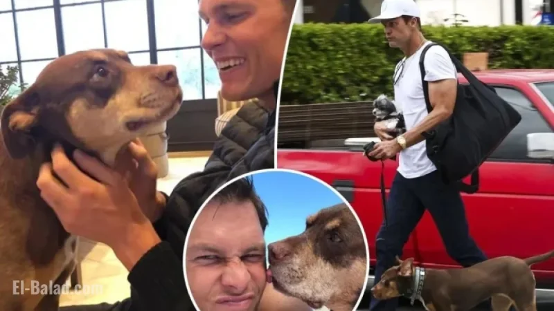 Tom Brady Clones Beloved Late Dog to Welcome New Pooch