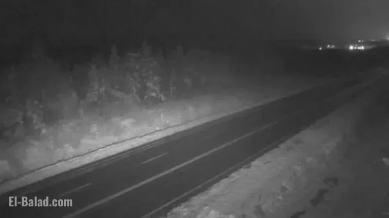 Western and Central NL Brace for Snowfall Warning