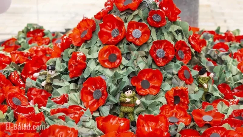 Bracknell Hosts Remembrance Sunday Events