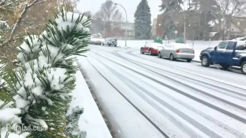 Edmonton Prepares for Overnight Rain and Snow Before Thursday Commute
