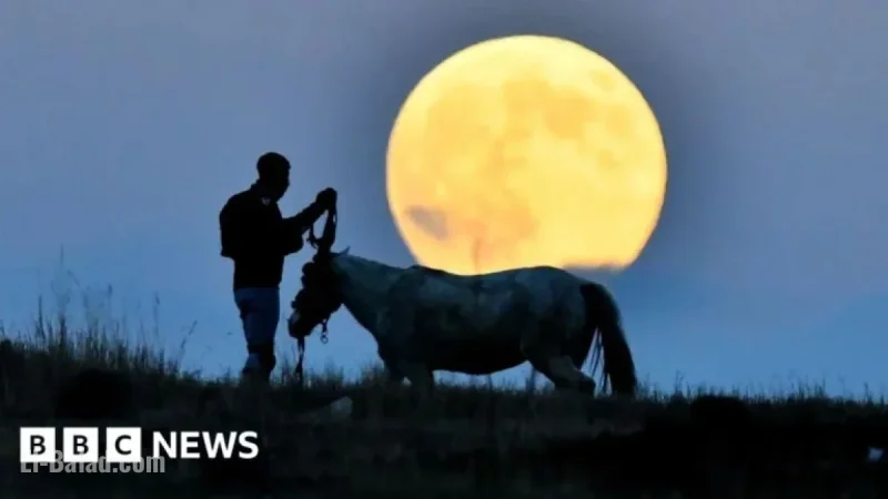 Global Beaver Supermoon Captivates Skywatchers Worldwide