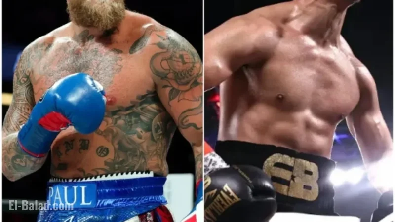 Highly Anticipated Fight Excites Fans