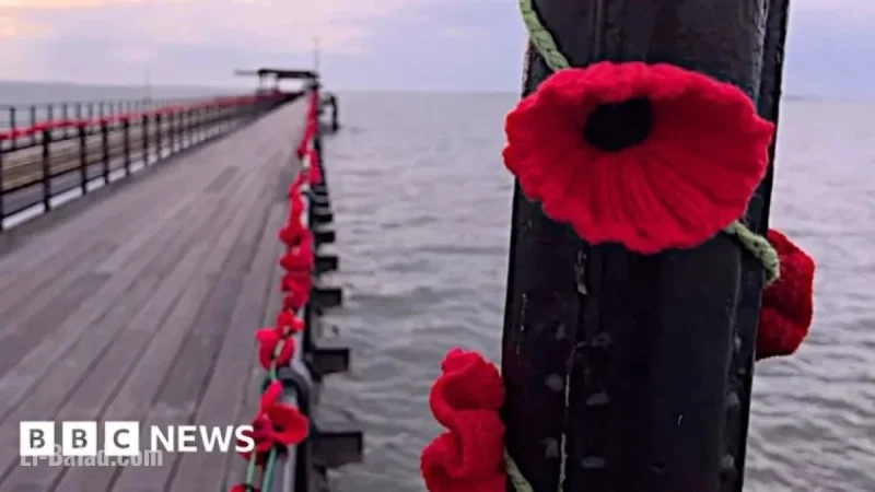 Stunning 110,000-Poppy Display Unveiled on Southend Pier in Video