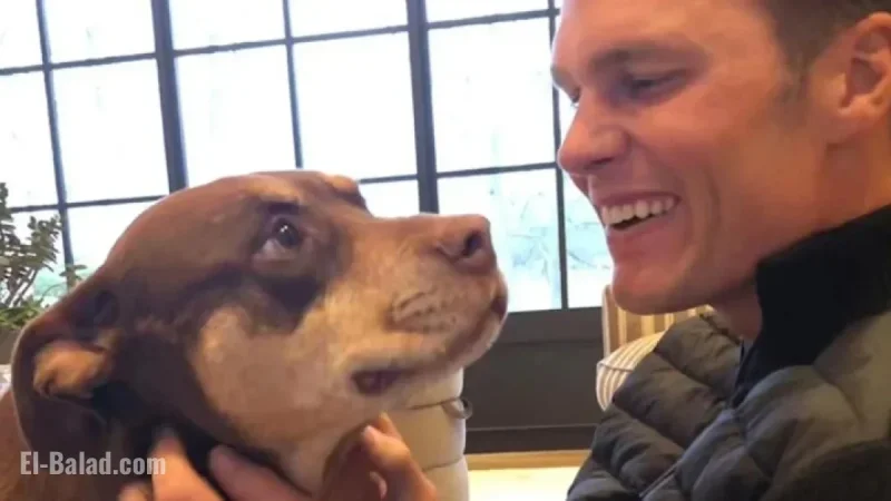 Tom Brady’s Dog Cloning: Costs and DIY Guide Revealed