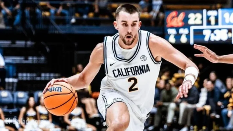 Cal Achieves 300th Victory at Haas Pavilion, Defeats CSU Bakersfield 87-60