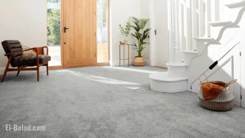 Discover Comfort at Carpet World Estepona: Say Goodbye to Cold Floors