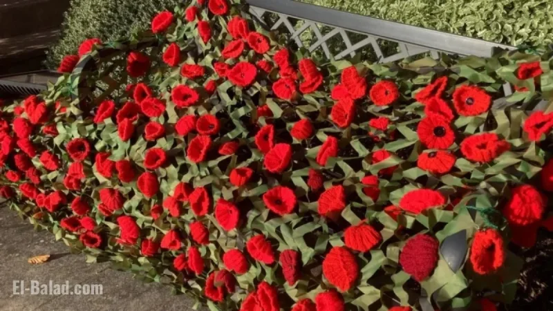 Remembrance Sunday: Outlook and Key Highlights