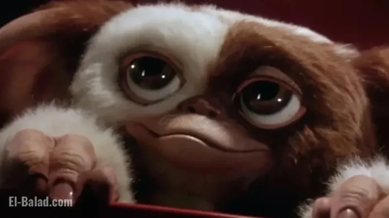 Steven Spielberg Reveals Gremlins 3 Release Date