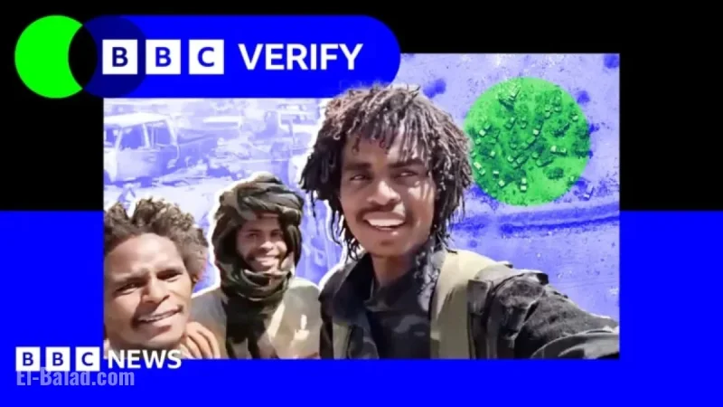 Sudan Militia Executes Brutal Massacre in El-Fasher: A Harrowing Account