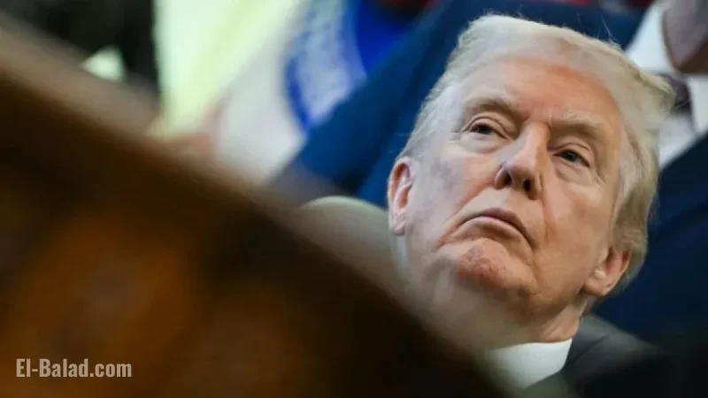 Trump Celebrates Cheaper Walmart Thanksgiving Meal Despite Reduced Items