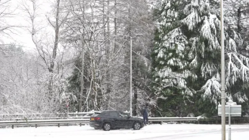 UK Snow Forecast: When to Expect the Next Flurry