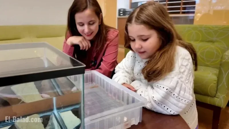 6-Year-Old Girl Saves Harvard’s Axolotl Research with Funding Boost