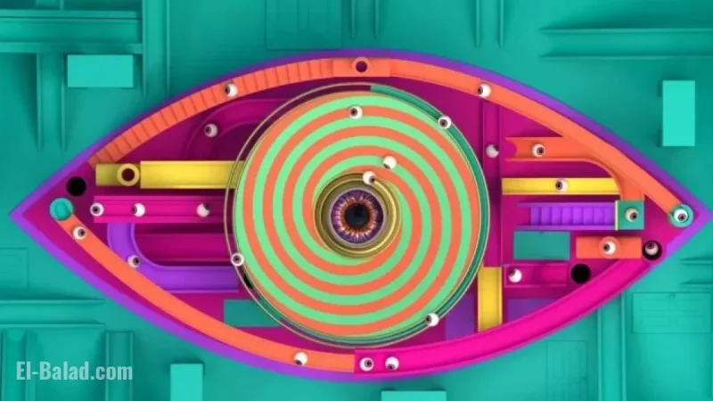 Big Brother Stars Face Setback Hours Before Live Eviction Show