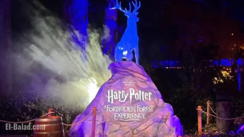 Explore Vancouver’s New ‘Harry Potter’ Experience with Exclusive Photos