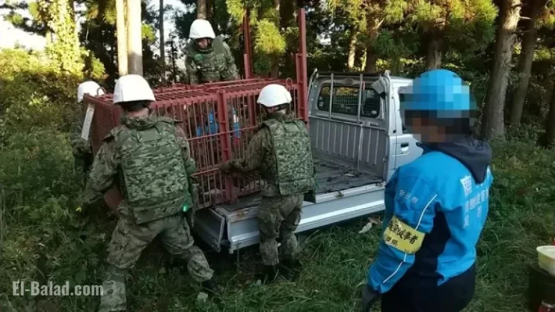Japanese Military Confronts New Challenge: Rising Bear Encounters