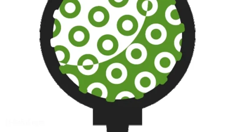 PGA TOUR 2025: World Wide Technology Championship Golf Leaderboard