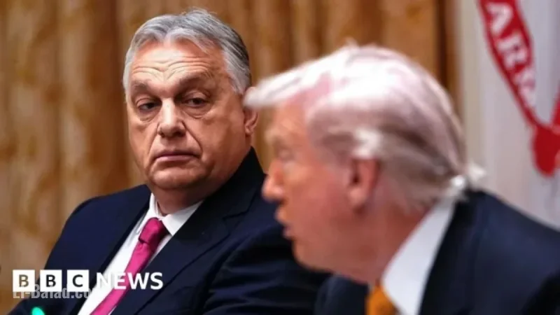 Viktor Orban’s Actions and Inactions in Hungary Unveiled