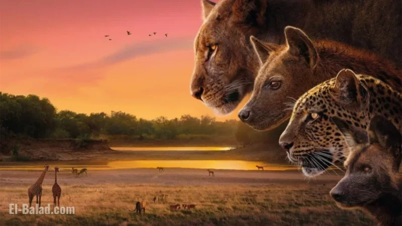 Explore ‘Kingdom’: Sir David Attenborough’s New Wildlife Series Essentials