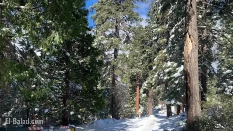 Lake Tahoe Road and Gate Closure Dates Announced for Seasonal Access
