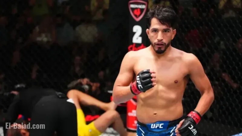 Two Fights Withdraw from UFC Vegas 111 Days Before Event